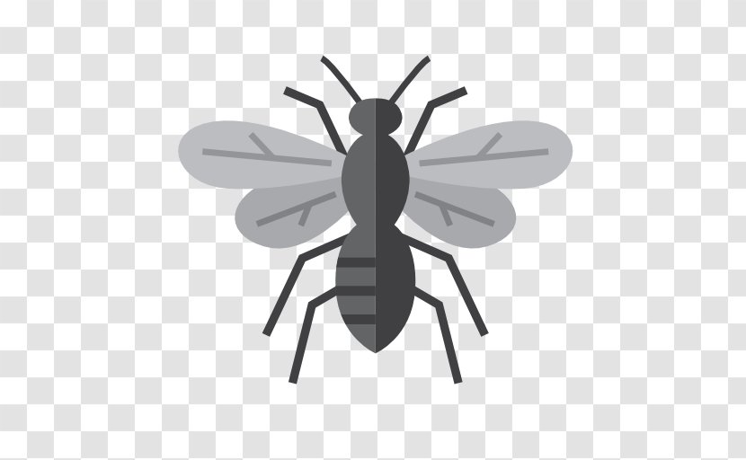 Insect Mosquito Pest Control Ant - Black And White - Wasp Transparent PNG