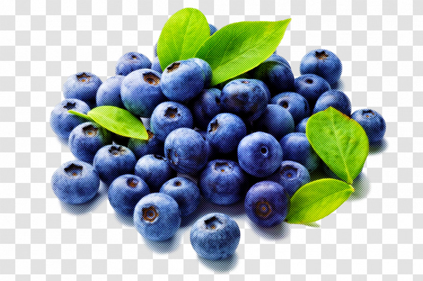 Berry Bilberry Blue Natural Foods Blueberry Transparent PNG