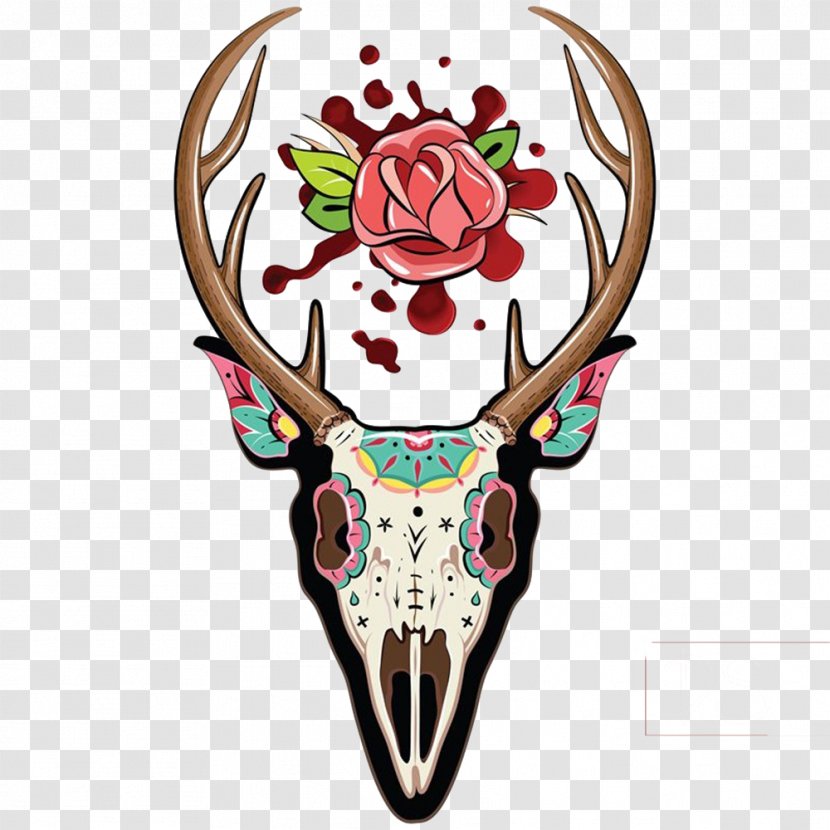 White-tailed Deer Skull Illustration - Horn - Beautiful Claw Transparent PNG