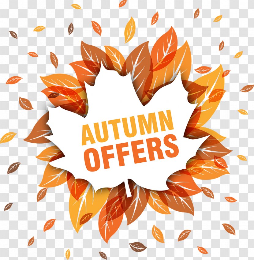 Vector Decorative Autumn Promotions - Thanksgiving - Sticker Transparent PNG