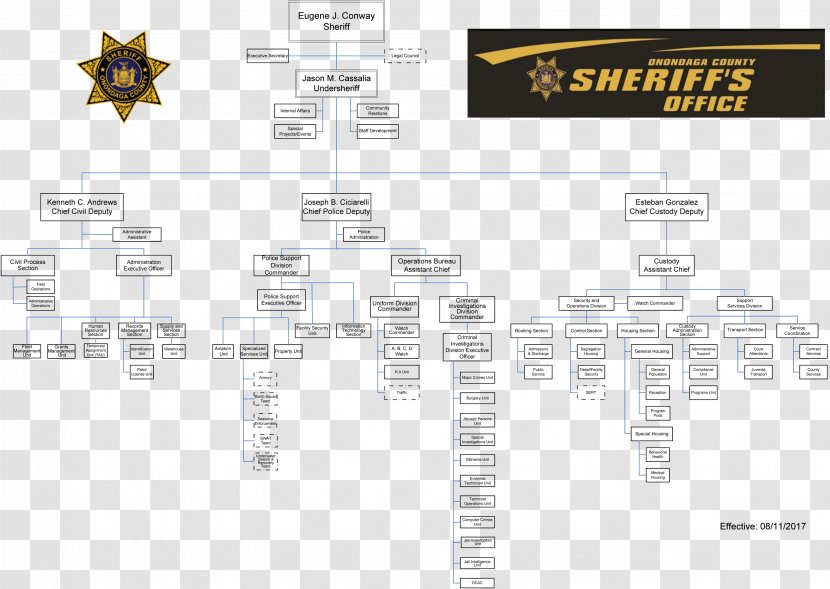 Organizational Chart Diagram Office - Police Transparent PNG