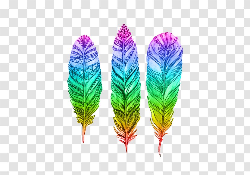 Bird Pin Feather Drawing - Leaf - Color Pattern Of Feathers Transparent PNG