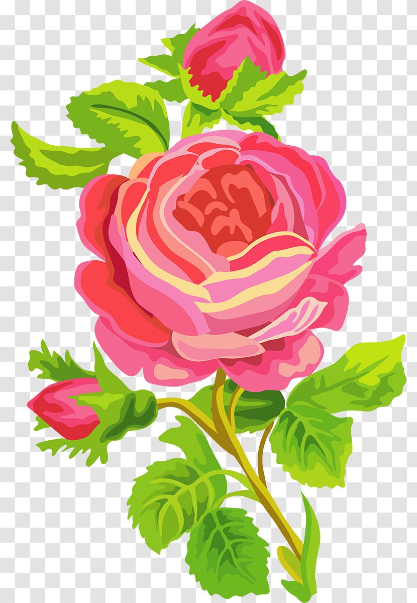 Garden Roses Cartoon Clip Art - Cut Flowers - Design Transparent PNG