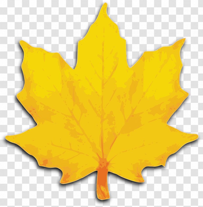 Autumn Leaf Color Yellow Maple Clip Art - Orange Transparent PNG