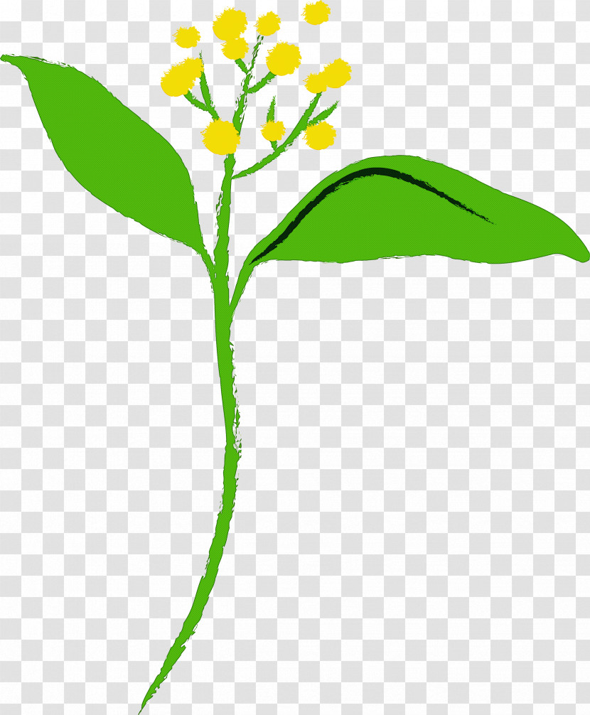 Flower Alpine Forget-me-not Plant Leaf Pedicel Transparent PNG