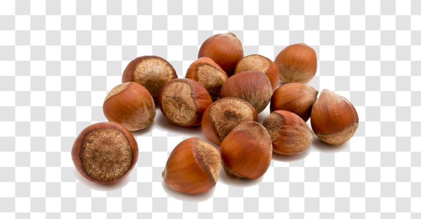 Hazelnut Food Almond - Acorn Transparent PNG