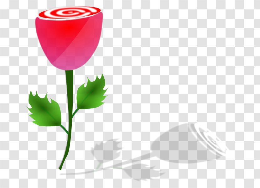 Wikimedia Commons Flower Transparent PNG