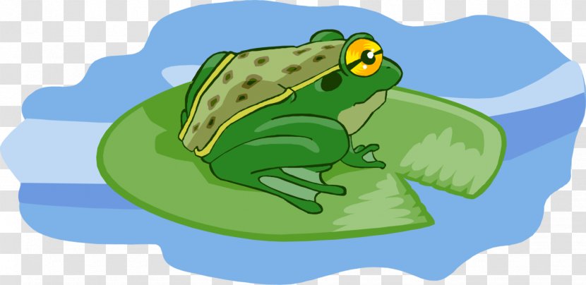 True Frog Clip Art Illustration Image - Organism Transparent PNG