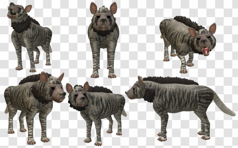 Striped Hyena Cattle Wildlife Animal Species - Hyaena - Hyenas Transparent PNG