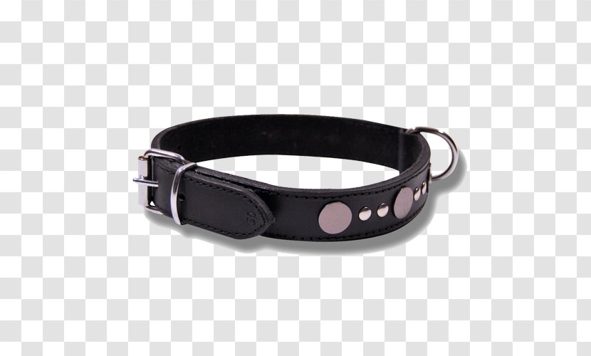 Belt Buckles Dog Collar - Buckle Transparent PNG