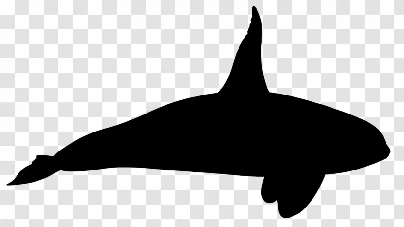Tucuxi Killer Whale Dolphin Clip Art Fauna - Common Dolphins - Silhouette Transparent PNG