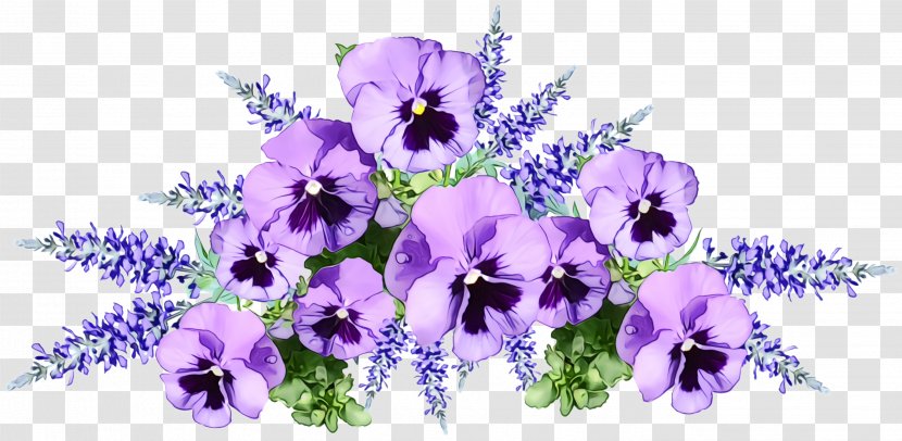 Lavender - Flowering Plant - Violet Family Viola Transparent PNG