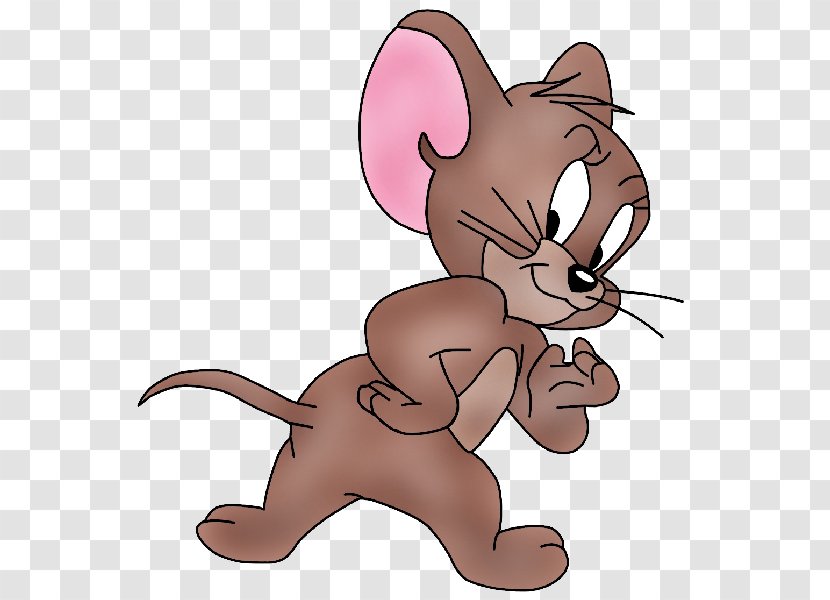 Tom Cat Jerry Mouse Cartoon And Drawing - Frame Transparent PNG