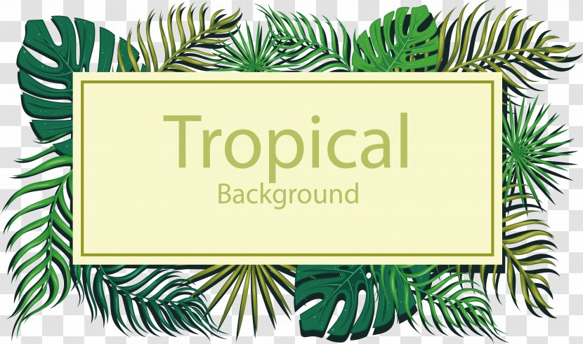Tropics Euclidean Vector Leaf - Tea Green - Tropical Title Box Transparent PNG