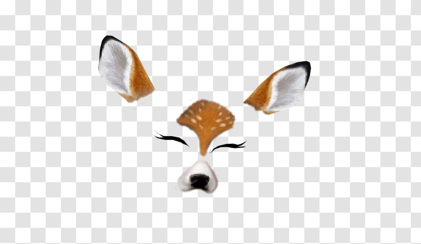 Cat Snapchat Sticker Deer Felidae - Nose Transparent PNG