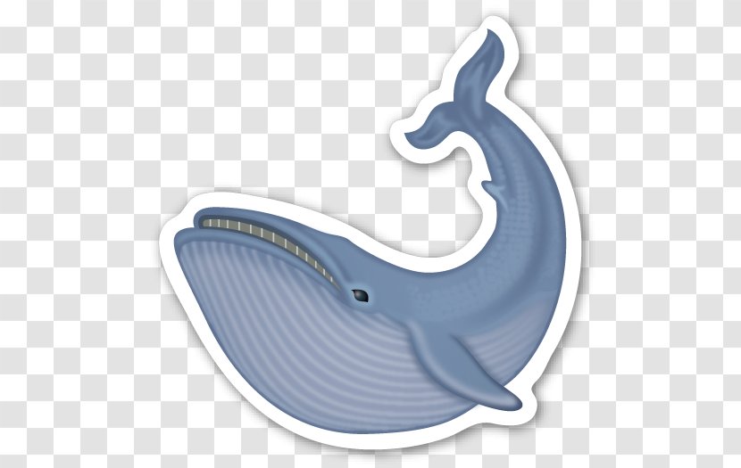 Cetacea Sticker Blue Whale Humpback Common Bottlenose Dolphin Transparent PNG