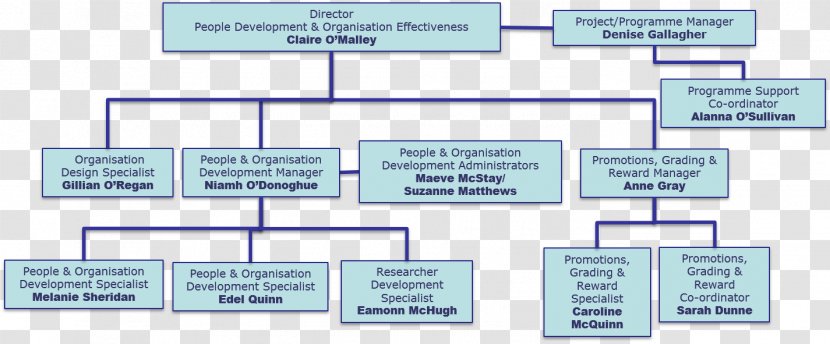 Organizational Effectiveness Human Resource Chart - People Development Transparent PNG