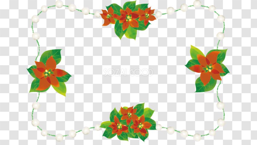 Christmas Day Poinsettia Floral Design Illustration Ornament - Color Transparent PNG
