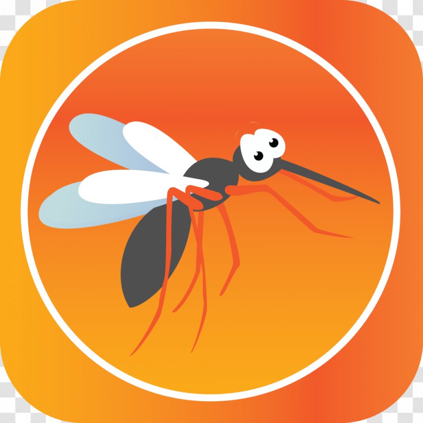 Insect Butterfly Bee Pollinator Animal - Fly - Mosquito Transparent PNG