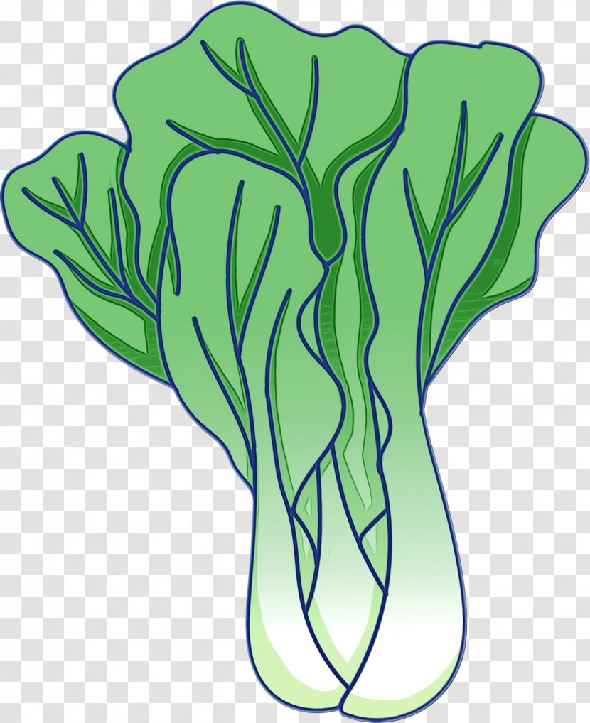 Green Vegetable Leaf Plant - Stem Cabbage Transparent PNG