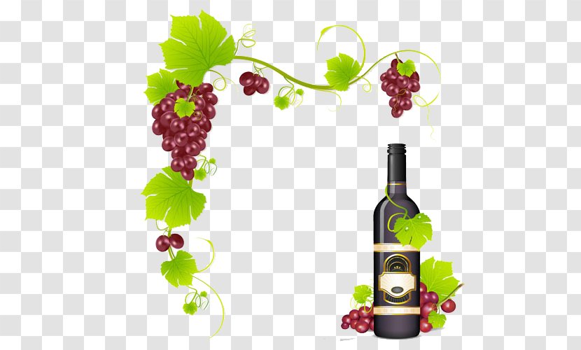 Red Wine Common Grape Vine - Leaves - And Transparent PNG