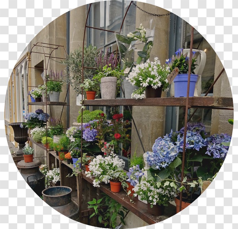 Floral Design Window Flowerpot Flowering Plant Houseplant - Garden Transparent PNG