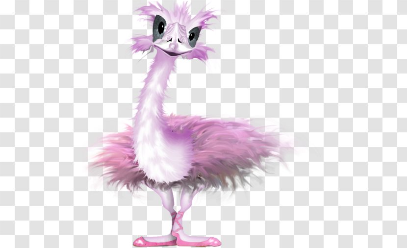 Common Ostrich Bird Cartoon Feather Animated Film Transparent PNG