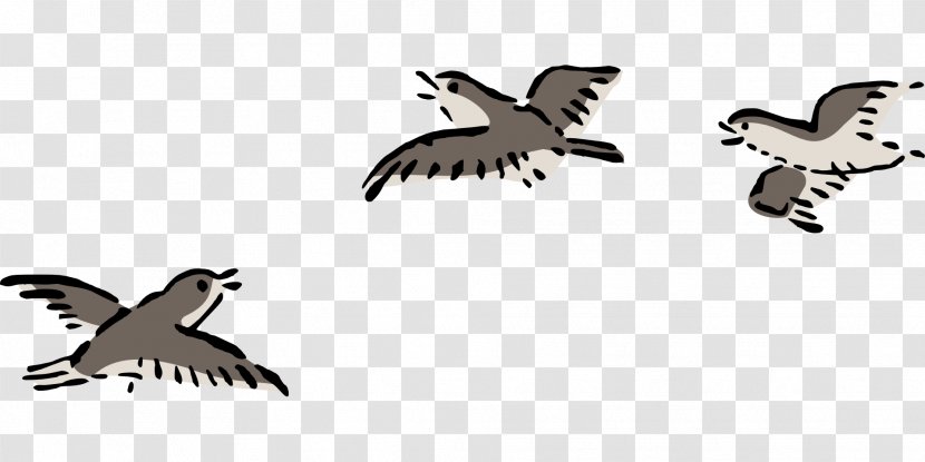 Bird Flight Clip Art - Flock - Flies Transparent PNG
