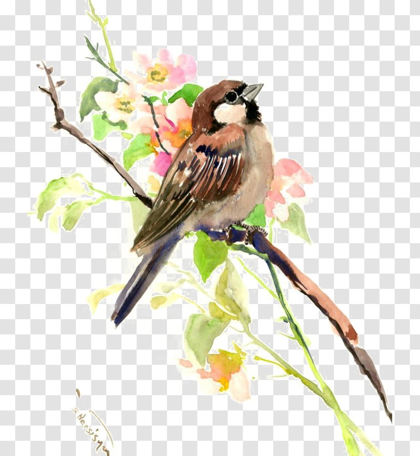 House Sparrow Watercolor Painting Bird - Art Transparent PNG