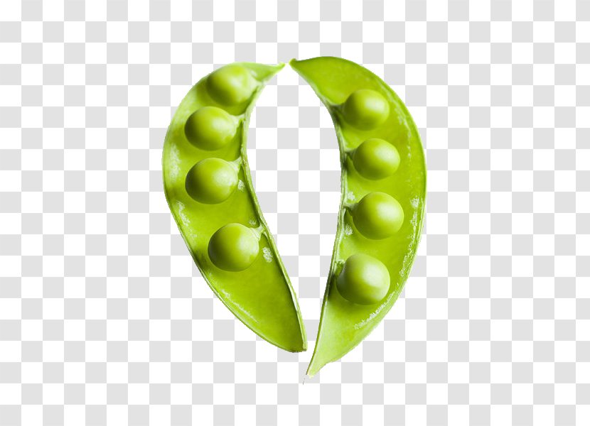 Snow Pea Edamame Legume Photography - Fruit - Two Pod Transparent PNG