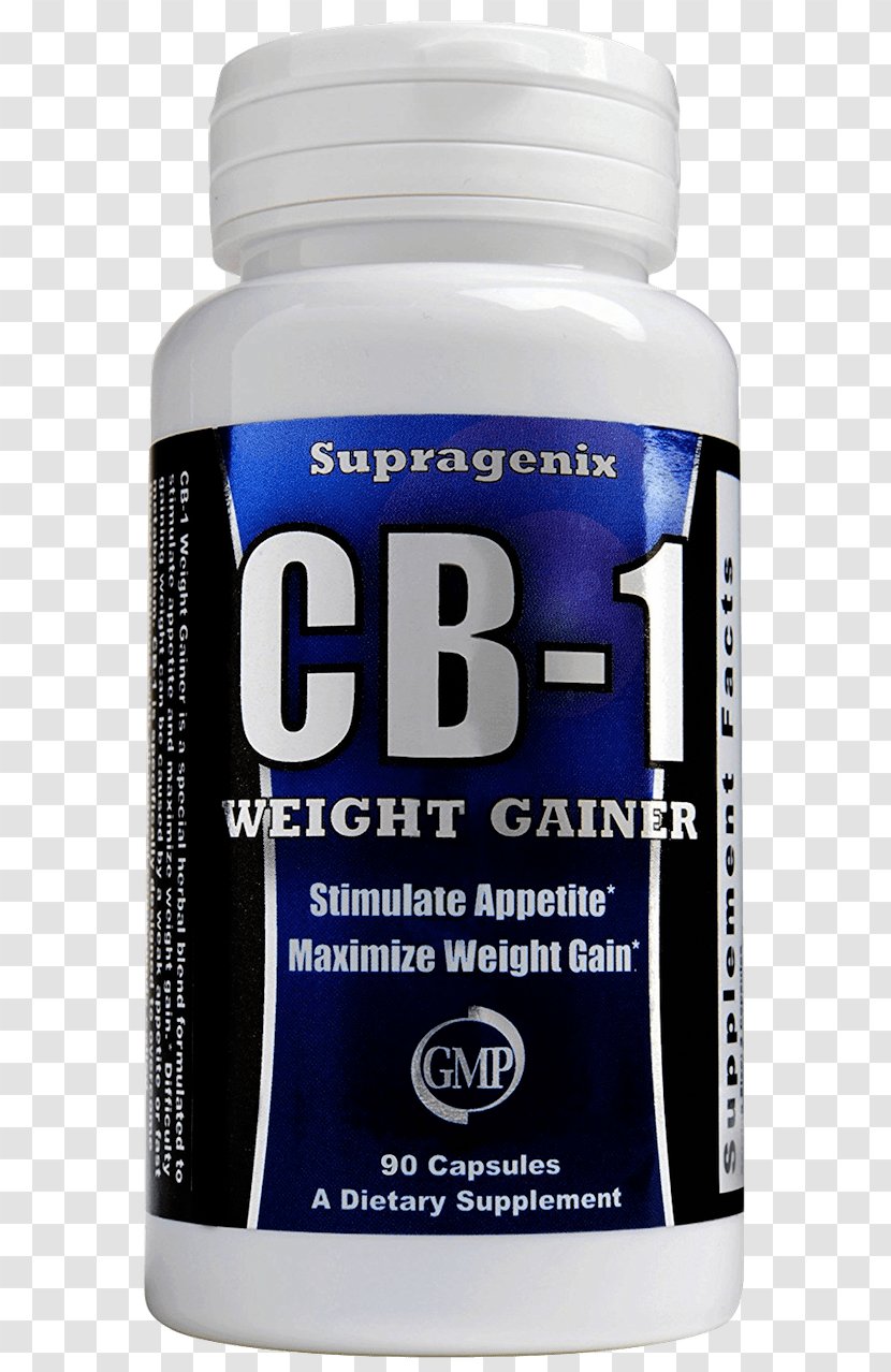 Dietary Supplement Weight Gain Gainer Bodybuilding Loss - Service - Health Transparent PNG