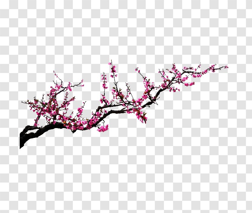 Poster - Twig - Ink Plum Transparent PNG