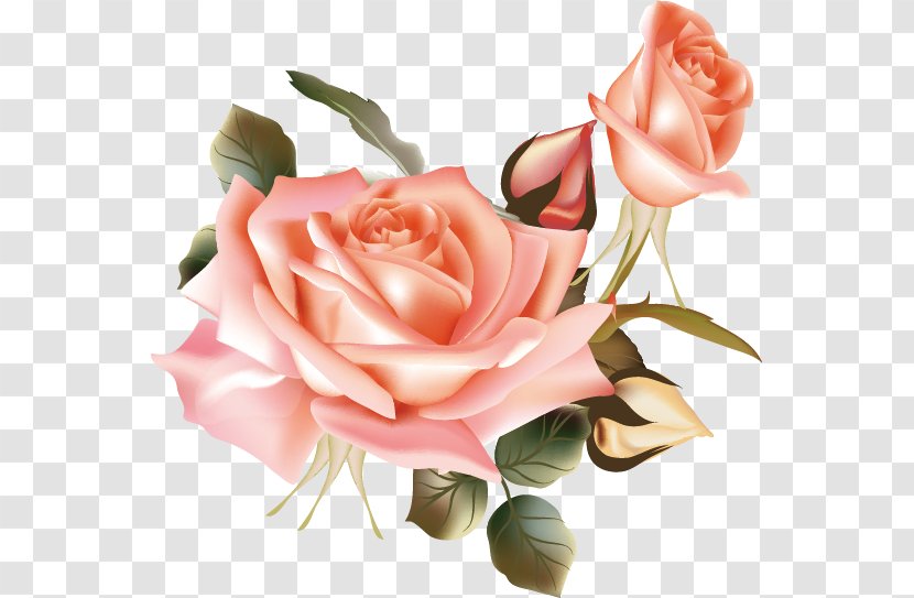 Flower Beach Rose - Green - Vector Transparent PNG