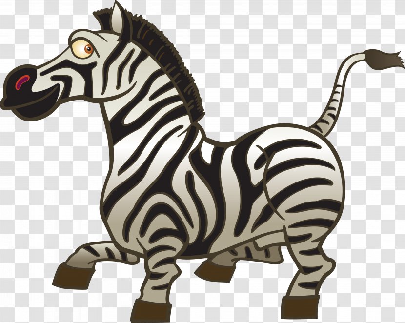 Zebra Download - Wildlife Transparent PNG