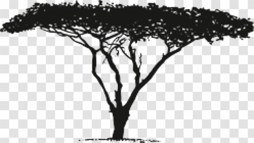 Vector Graphics Africa Image Download Silhouette - Plant - High Weald Area Of Outstanding Natural Beauty Transparent PNG