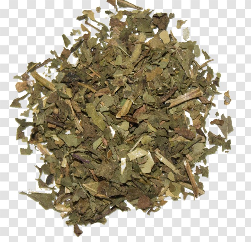 Hōjicha Darjeeling Tea Green Sencha - Oolong Transparent PNG