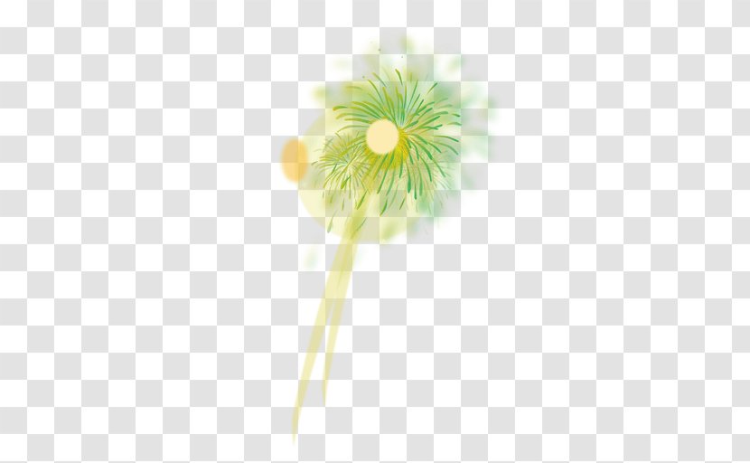 Flower Carnation Drawing - Plant Stem - Paper Firework Transparent PNG