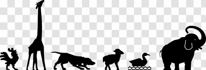 Duck Dog Giraffe Goose Clip Art - Vertebrate - Animals Transparent PNG