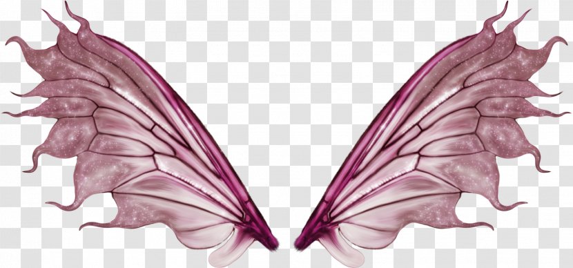 Tinker Bell Butterfly Fairy - Flower - Wings Transparent PNG