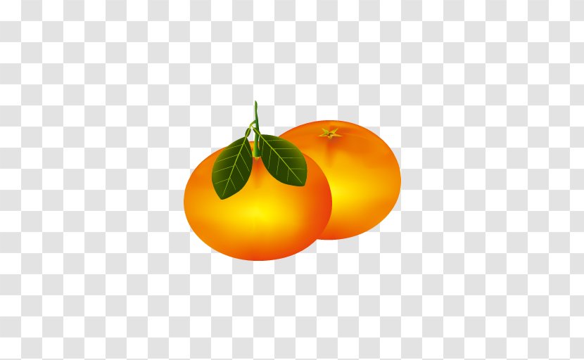 Clementine Mandarin Orange Icon Transparent PNG