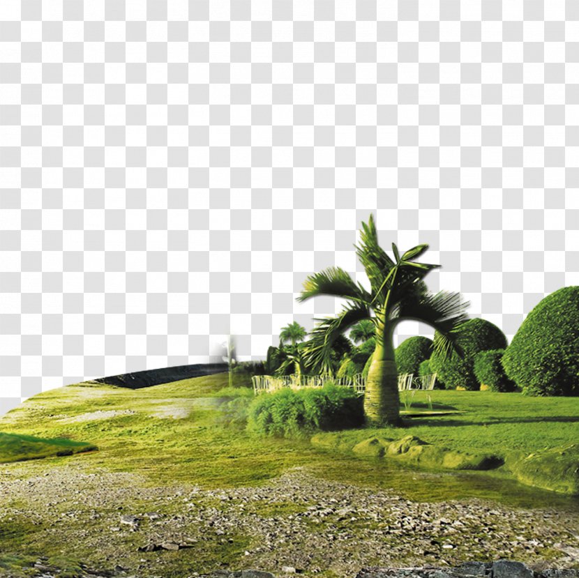 Bali Poster Travel Illustration - Daytime - Green Park Transparent PNG