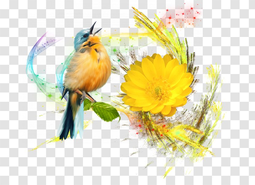 Image Flower Desktop Wallpaper Floral Design Photography - Watercolor Paint - Coller Transparent PNG