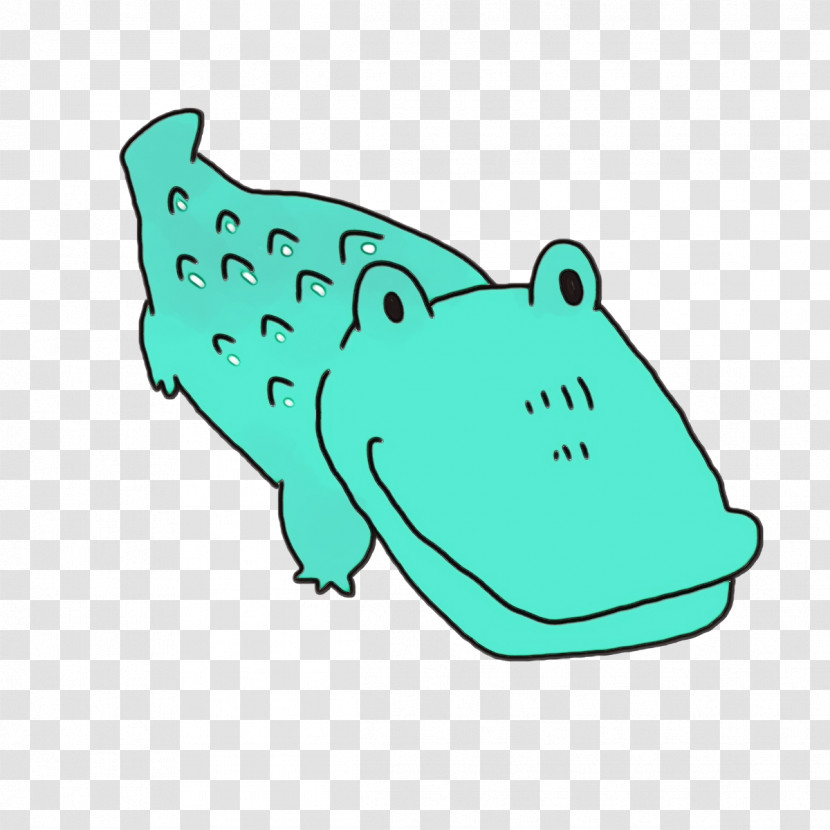 Amphibians Green Shoe Area Line Transparent PNG