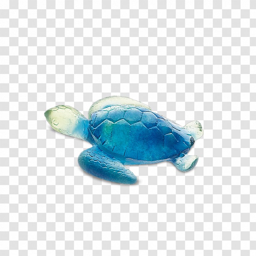 Loggerhead Sea Turtle Green Archelon - Blue Transparent PNG
