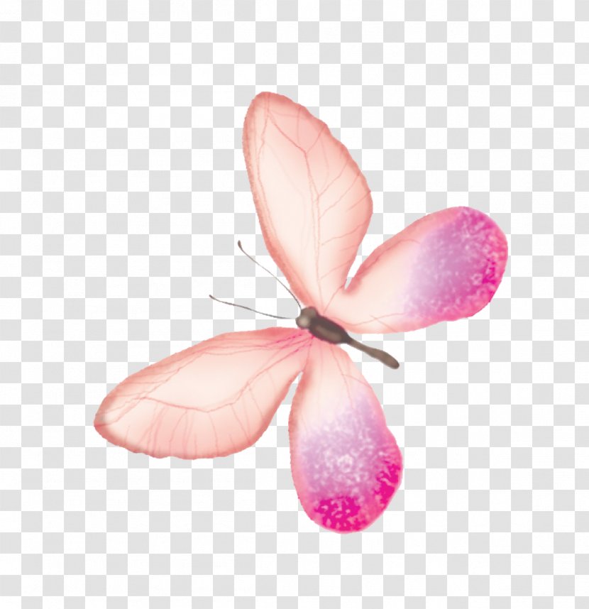Butterfly Transparency And Translucency - Pink Transparent PNG