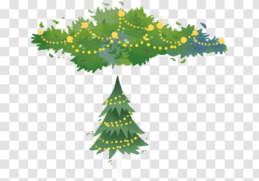 Christmas Tree Spruce Fir Pine - Chart Transparent PNG