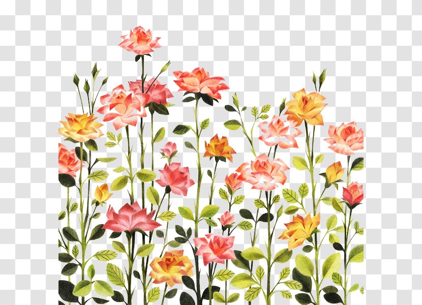 Rose Illustration - Garden - Hand-painted Pattern Bushes Transparent PNG
