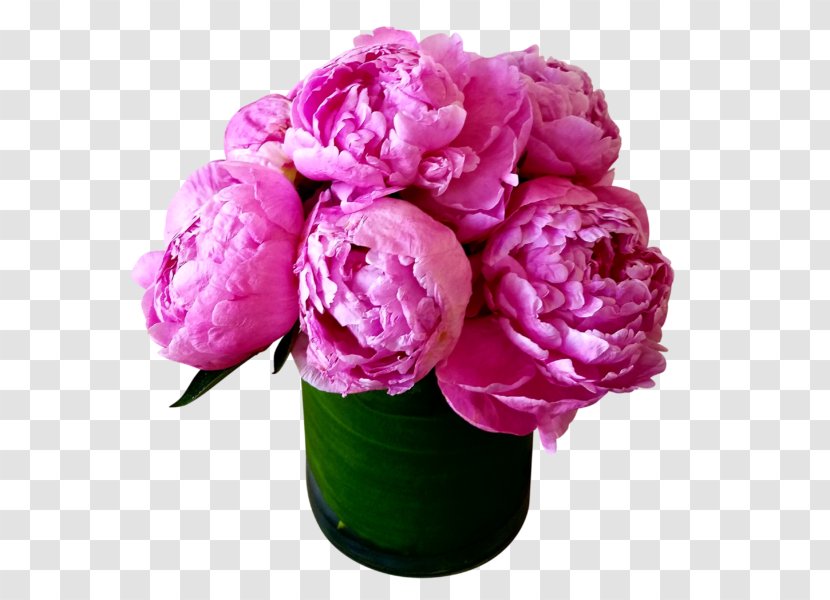 Peony Flower Bouquet Garden Roses Cut Flowers - Pink Family Transparent PNG