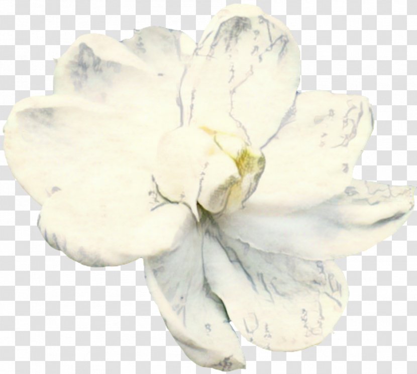 Flowers Background - Cut - Tulip Gardenia Transparent PNG