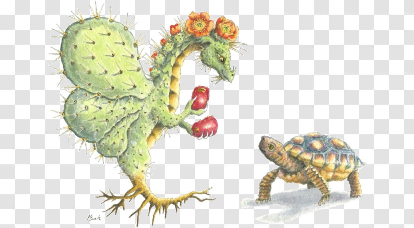 Reptile Tortoise Flower Dragon Turtle - Eastern Prickly Pear Transparent PNG